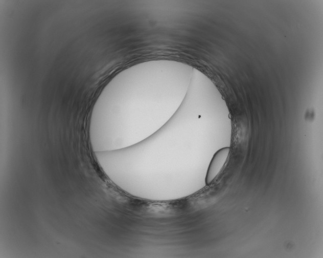 X0000090910666200708201743