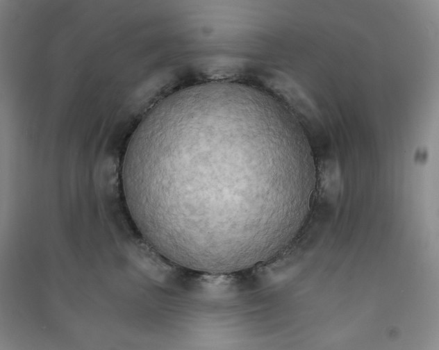 X0000090910667200708201743