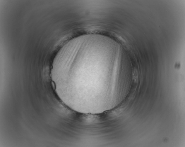 X0000090910670200708201743