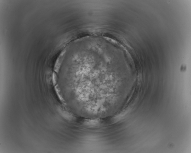 X0000090910671200708201743