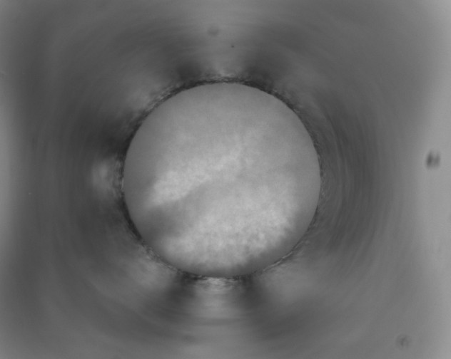 X0000090910672200708201743