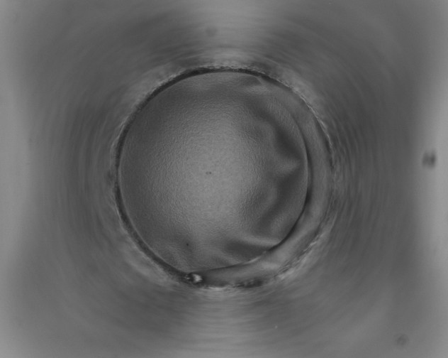 X0000090910673200708201742