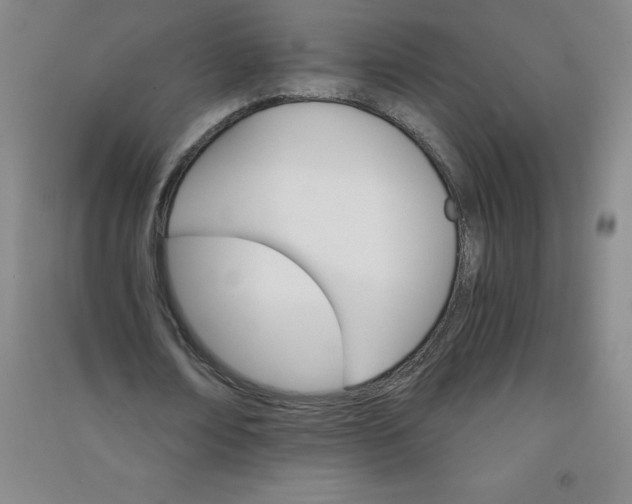 X0000090910674200708201742