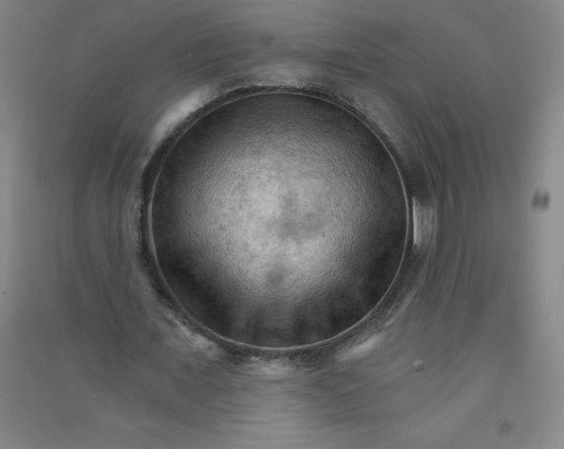 X0000090910675200708201742