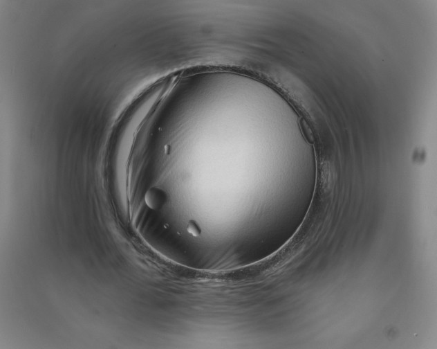 X0000090910676200708201742