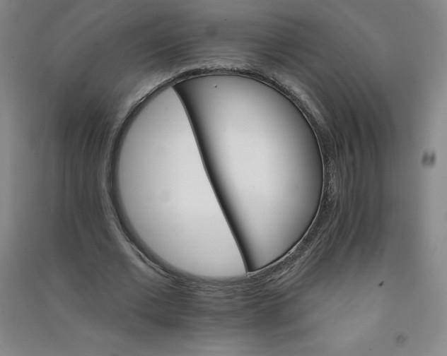 X0000090910677200708201742