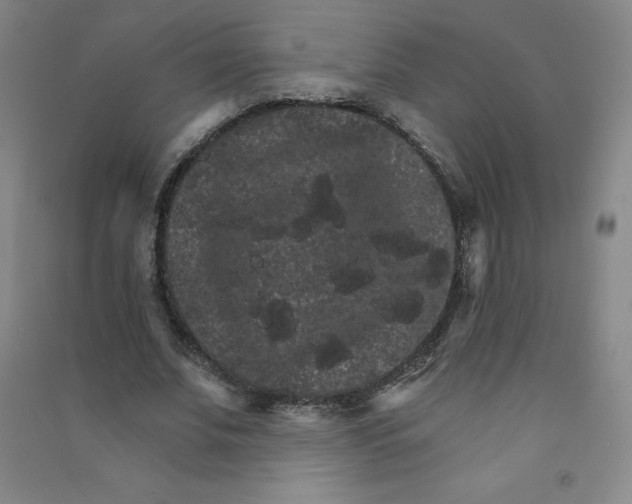 X0000090910679200708201742