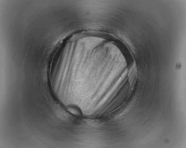 X0000090910681200708201742