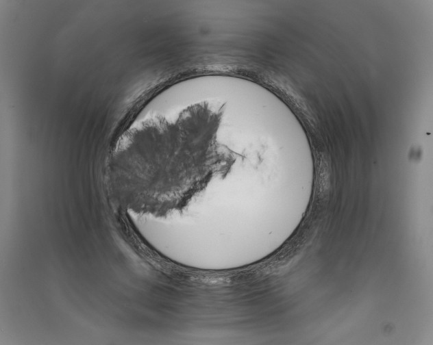 X0000090910683200708201742