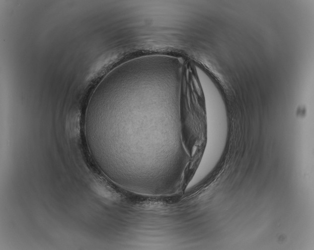 X0000090910685200708201742