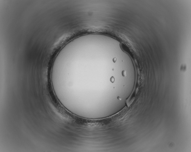 X0000090910686200708201742