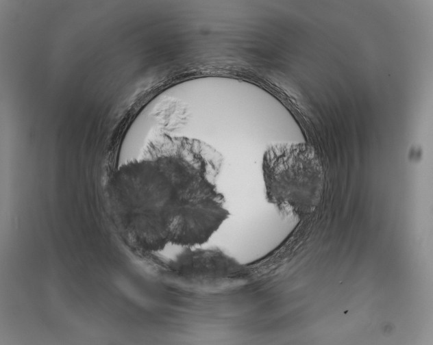 X0000090910687200708201742