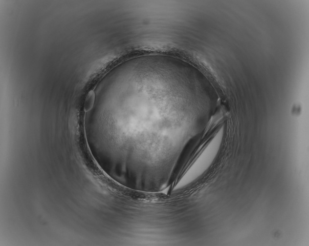 X0000090910688200708201742