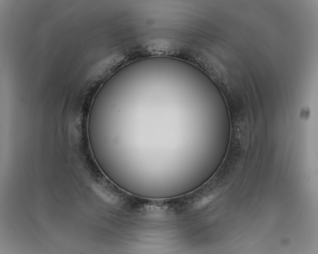 X0000090910690200708201742