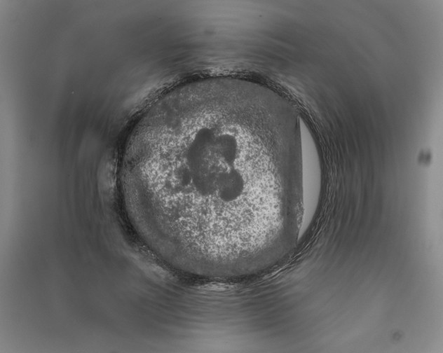 X0000090910691200708201742