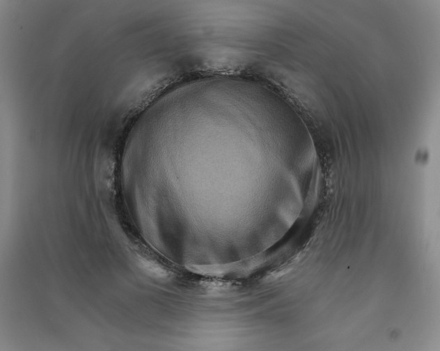 X0000090910693200708201742