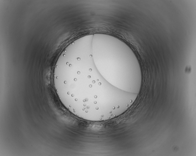 X0000090910694200708201742