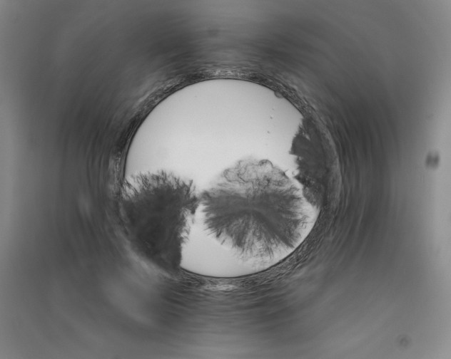 X0000090910695200708201742