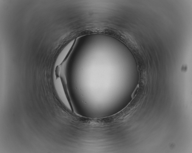 X0000090910697200708201742