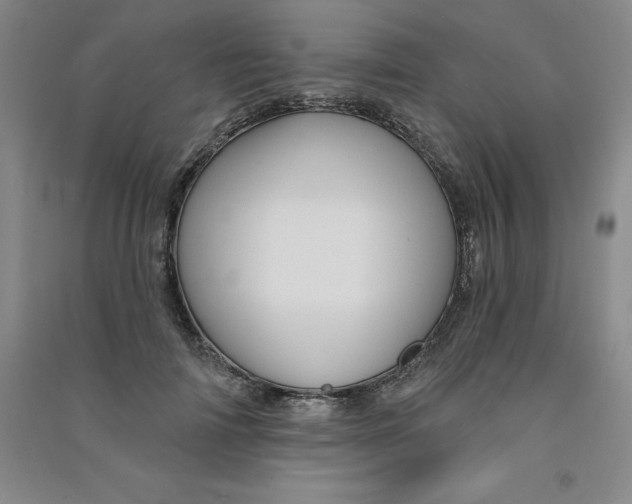 X0000090910698200708201742