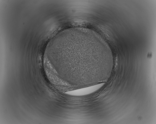 X0000090910699200708201742