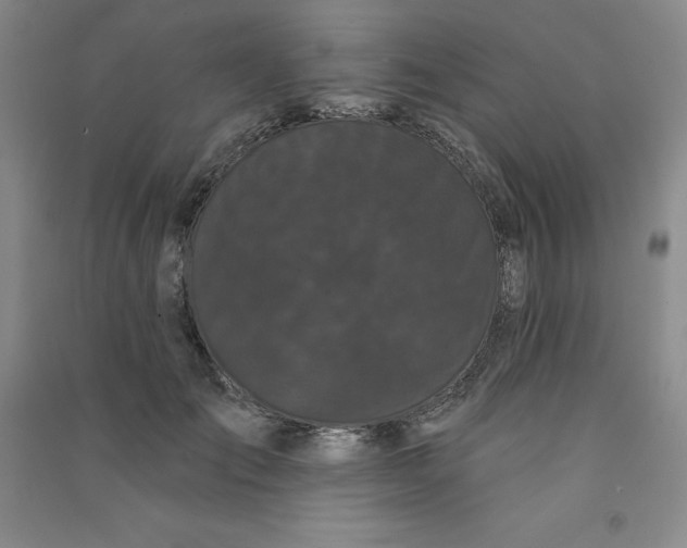 X0000090910701200708201742