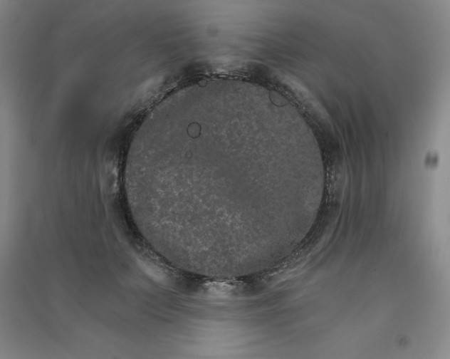 X0000090910703200708201742