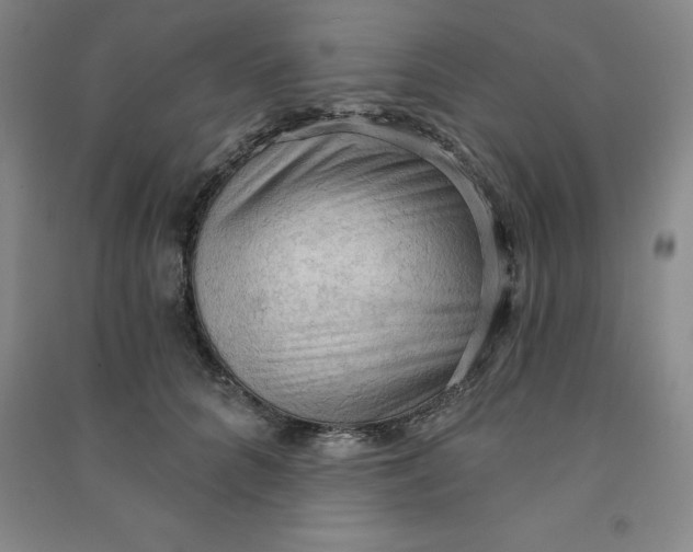 X0000090910704200708201742