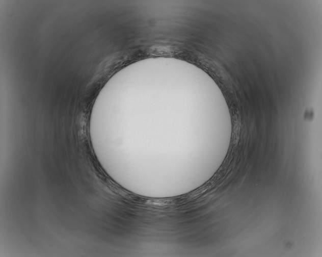 X0000090910706200708201742