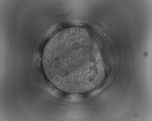 X0000090910707200708201742