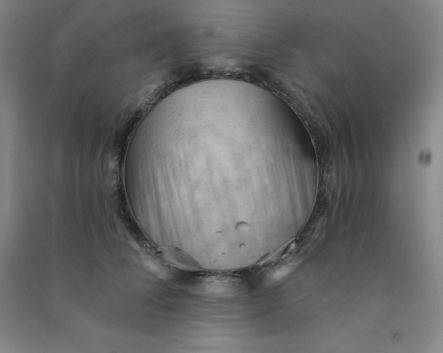 X0000090910708200708201741