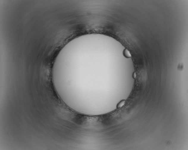 X0000090910709200708201741