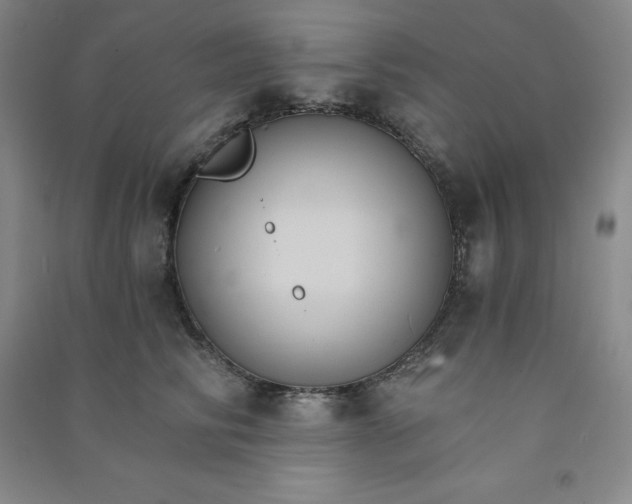 X0000090910710200708201741