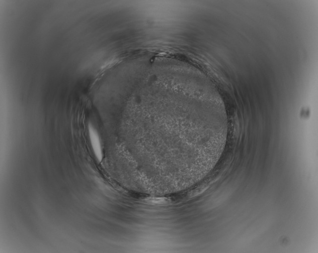 X0000090910711200708201741