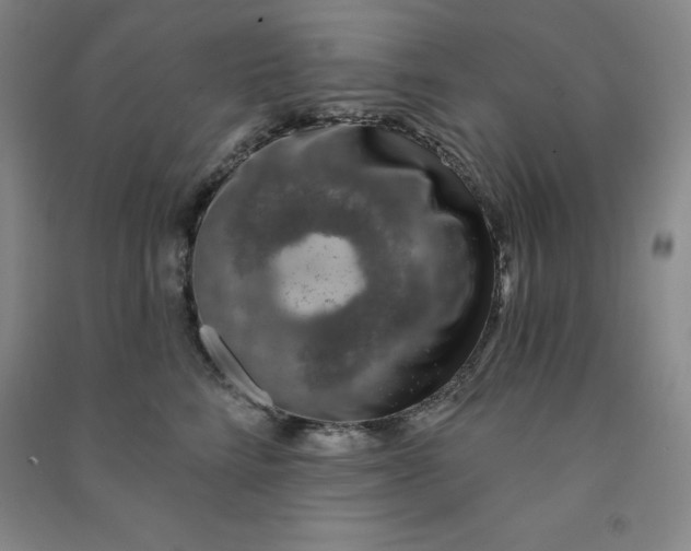 X0000090910712200708201741