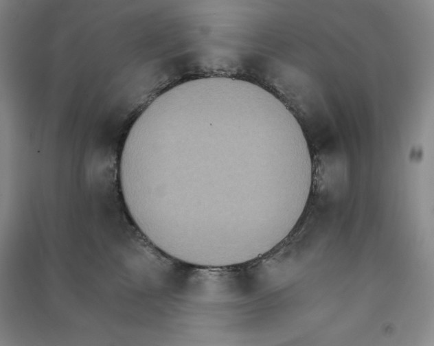 X0000090910713200708201741