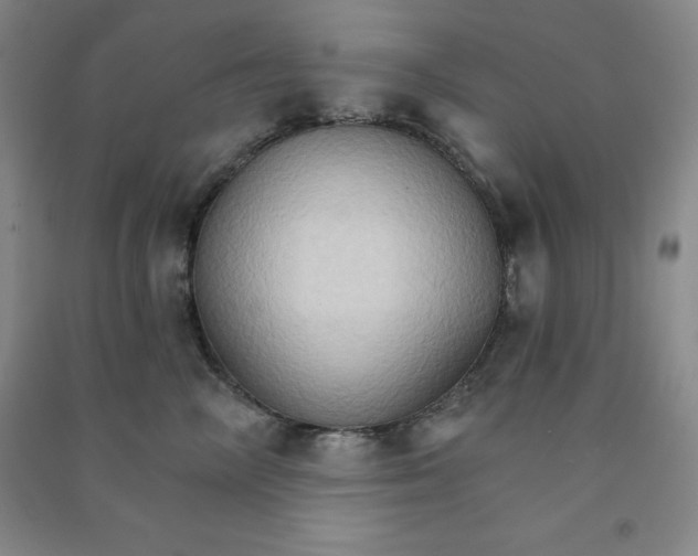 X0000090910714200708201741