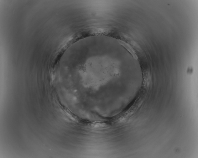 X0000090910716200708201741