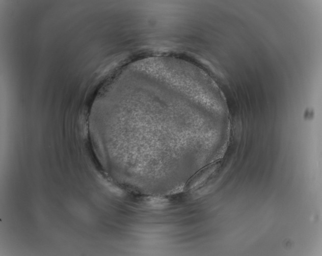 X0000090910719200708201741