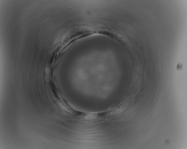 X0000090910720200708201741