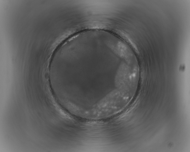 X0000090910721200708201740