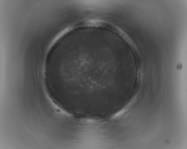 X0000090910722200708201741