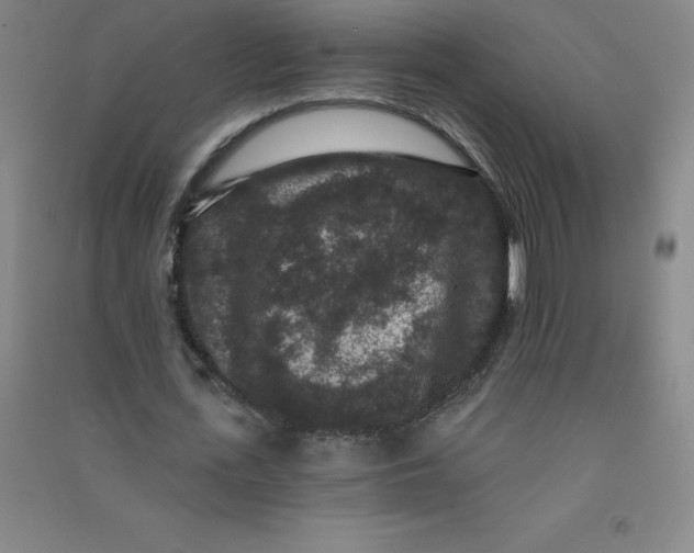 X0000090910723200708201741