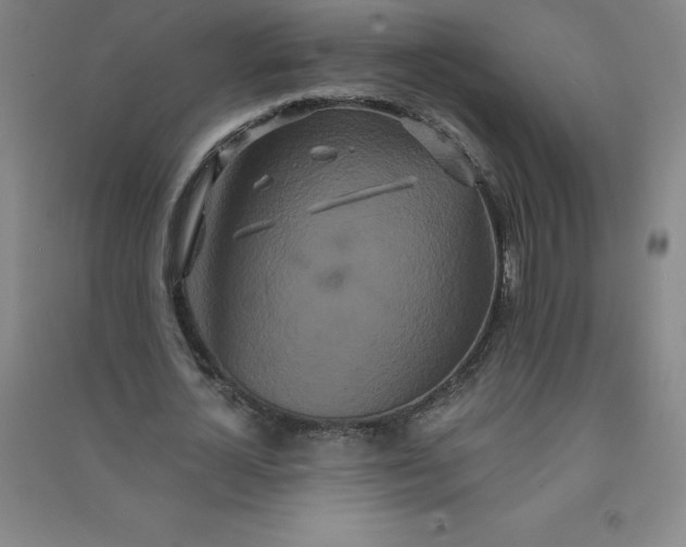 X0000090910724200708201741