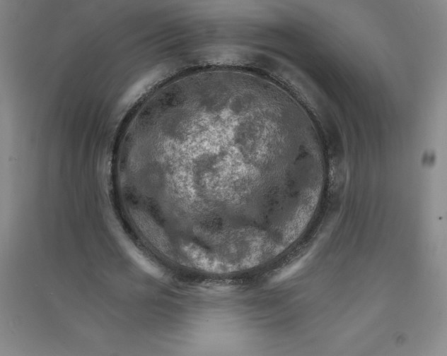 X0000090910725200708201741