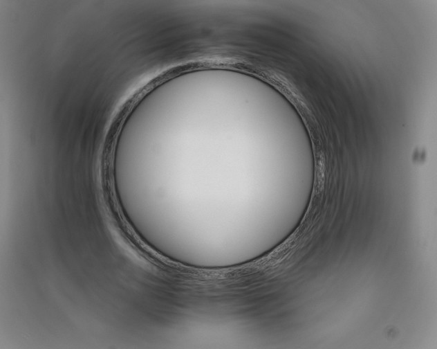 X0000090910726200708201741