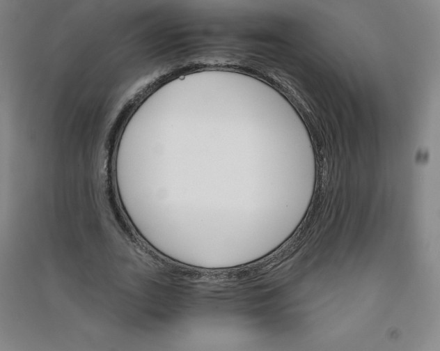 X0000090910727200708201741