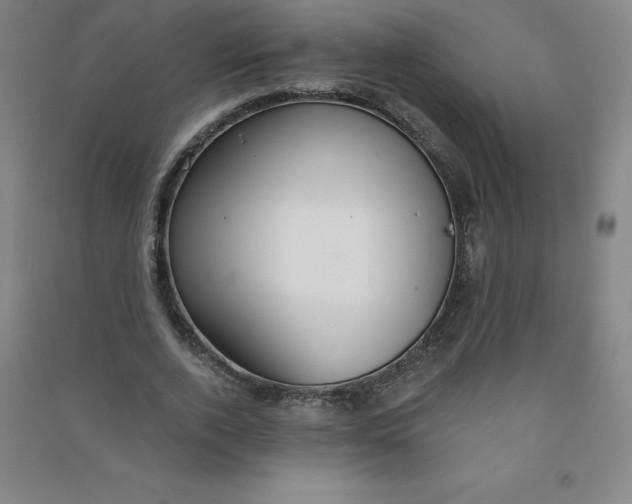 X0000090910728200708201741