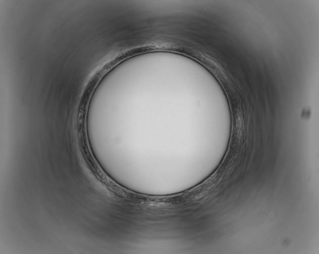 X0000090910730200708201741