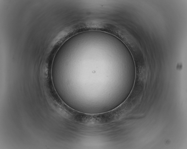 X0000090910731200708201741